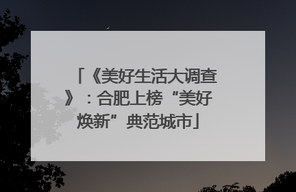 《美好生活大调查》：合肥上榜“美好焕新”典范城市