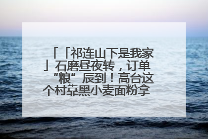 「祁连山下是我家」石磨昼夜转，订单“粮”辰到！高台这个村靠黑小麦面粉拿下成立来最大订单
