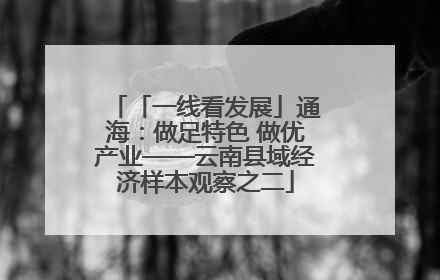 「一线看发展」通海：做足特色 做优产业——云南县域经济样本观察之二