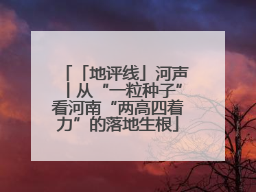 「地评线」河声丨从“一粒种子”看河南“两高四着力”的落地生根