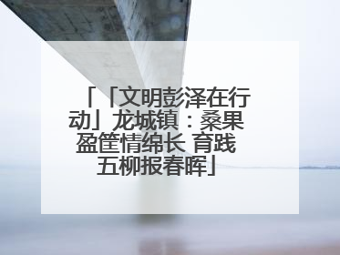 「文明彭泽在行动」龙城镇：桑果盈筐情绵长 育践五柳报春晖