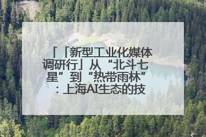 「新型工业化媒体调研行」从“北斗七星”到“热带雨林”：上海AI生态的技术商业共生密码