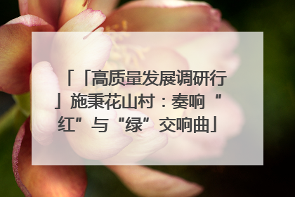 「高质量发展调研行」施秉花山村：奏响“红”与“绿”交响曲