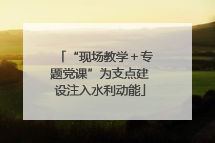 “现场教学＋专题党课”为支点建设注入水利动能