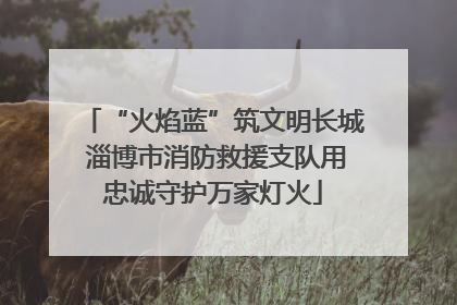 “火焰蓝”筑文明长城 淄博市消防救援支队用忠诚守护万家灯火