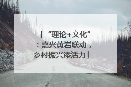 “理论+文化”：嘉兴黄岩联动，乡村振兴添活力