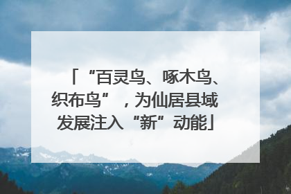 “百灵鸟、啄木鸟、织布鸟”，为仙居县域发展注入“新”动能