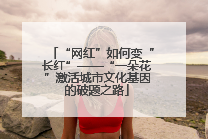 “网红”如何变“长红”——“一朵花”激活城市文化基因的破题之路