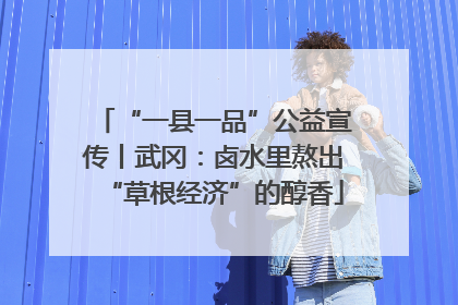 “一县一品”公益宣传丨武冈：卤水里熬出“草根经济”的醇香