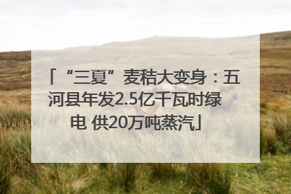 “三夏”麦秸大变身：五河县年发2.5亿千瓦时绿电 供20万吨蒸汽