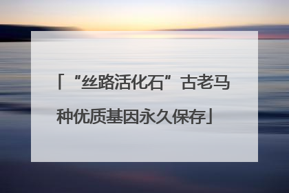 “丝路活化石”古老马种优质基因永久保存