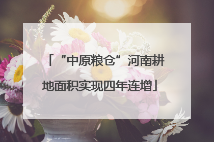 “中原粮仓”河南耕地面积实现四年连增