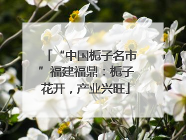 “中国栀子名市”福建福鼎：栀子花开，产业兴旺
