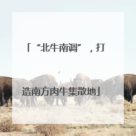“北牛南调”，打造南方肉牛集散地