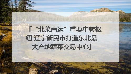 “北菜南运”重要中转枢纽 辽宁新民市打造东北最大产地蔬菜交易中心