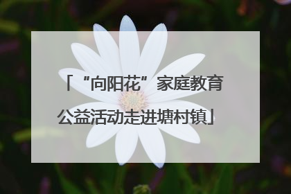 “向阳花”家庭教育公益活动走进塘村镇