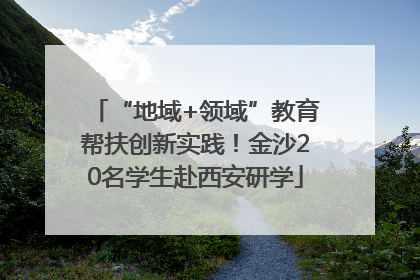 “地域+领域”教育帮扶创新实践！金沙20名学生赴西安研学