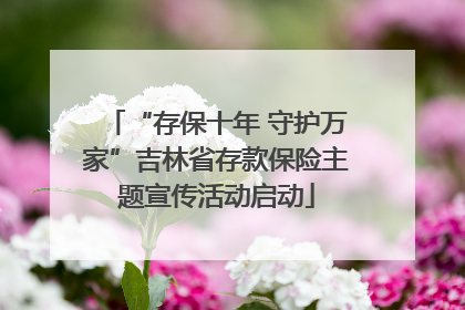 “存保十年 守护万家”吉林省存款保险主题宣传活动启动