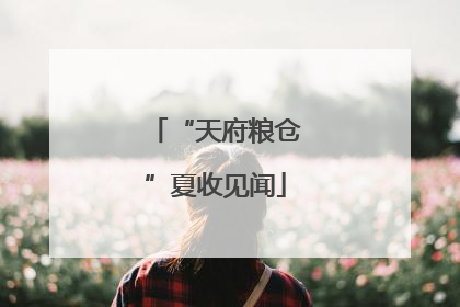 “天府粮仓”夏收见闻