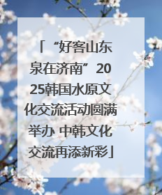 “好客山东 泉在济南”2025韩国水原文化交流活动圆满举办 中韩文化交流再添新彩