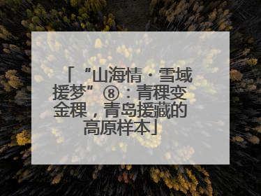 “山海情・雪域援梦”⑧：青稞变金稞，青岛援藏的高原样本