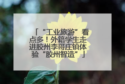 “工业旅游”看点多！外籍学生走进胶州李哥庄镇体验“胶州智造”