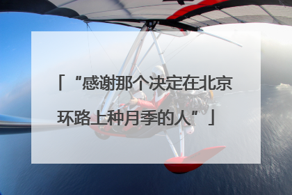 “感谢那个决定在北京环路上种月季的人”