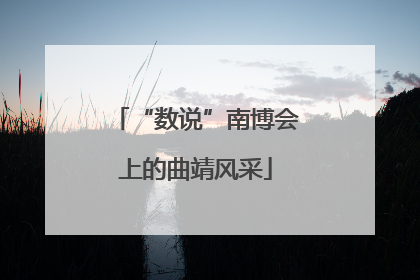“数说”南博会上的曲靖风采
