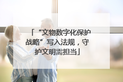 “文物数字化保护战略”写入法规，守护文明需担当