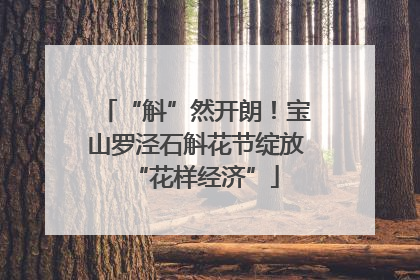 “斛”然开朗！宝山罗泾石斛花节绽放“花样经济”