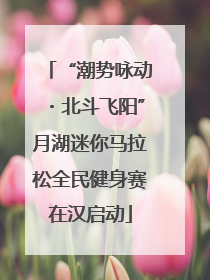 “潮势咏动・北斗飞阳”月湖迷你马拉松全民健身赛在汉启动