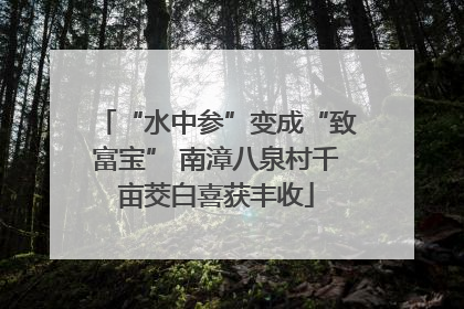“水中参”变成“致富宝” 南漳八泉村千亩茭白喜获丰收