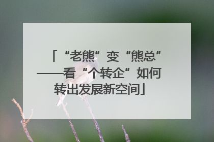 “老熊”变“熊总”——看“个转企”如何转出发展新空间