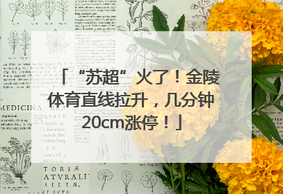 “苏超”火了！金陵体育直线拉升，几分钟20cm涨停！