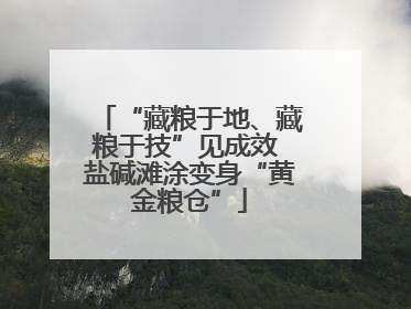 “藏粮于地、藏粮于技”见成效 盐碱滩涂变身“黄金粮仓”