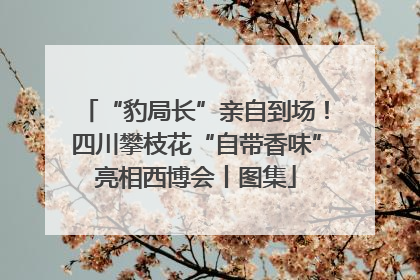 “豹局长”亲自到场！四川攀枝花“自带香味”亮相西博会丨图集