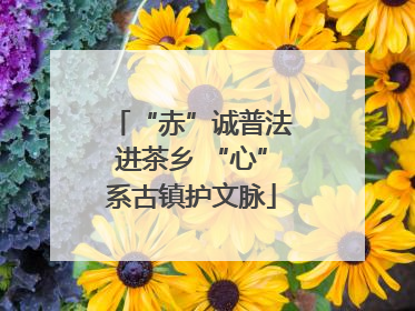 “赤”诚普法进茶乡 “心”系古镇护文脉