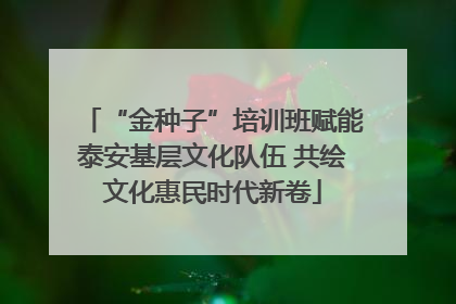 “金种子”培训班赋能泰安基层文化队伍 共绘文化惠民时代新卷