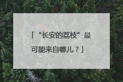 “长安的荔枝”最可能来自哪儿？