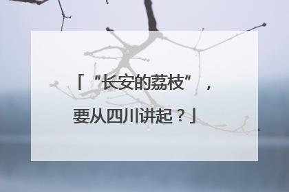 “长安的荔枝”，要从四川讲起？