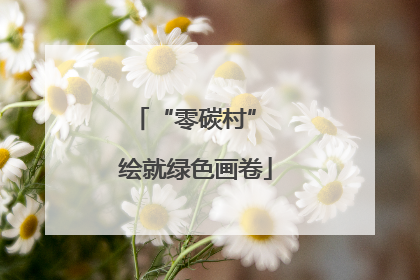 “零碳村” 绘就绿色画卷
