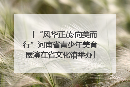 “风华正茂·向美而行”河南省青少年美育展演在省文化馆举办
