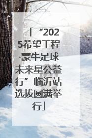 “2025希望工程·蒙牛足球未来星公益行”临沂站选拔圆满举行