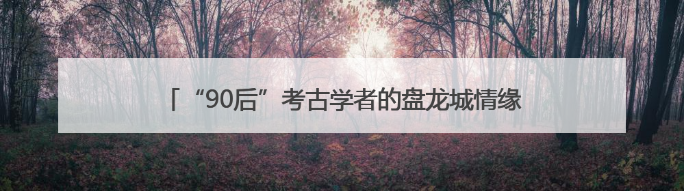 “90后”考古学者的盘龙城情缘：最爱镇馆之宝绿松石镶金饰件