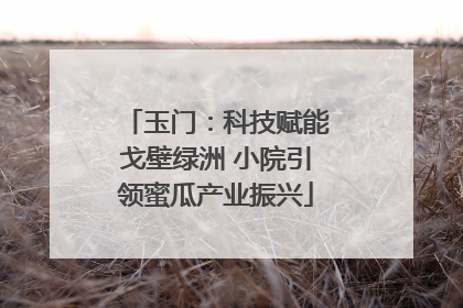玉门：科技赋能戈壁绿洲 小院引领蜜瓜产业振兴