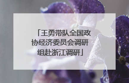 王勇带队全国政协经济委员会调研组赴浙江调研