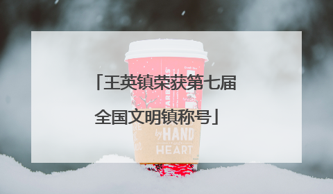 王英镇荣获第七届全国文明镇称号