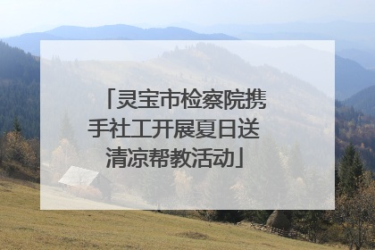 灵宝市检察院携手社工开展夏日送清凉帮教活动