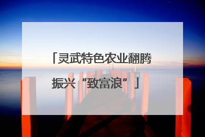 灵武特色农业翻腾振兴“致富浪”