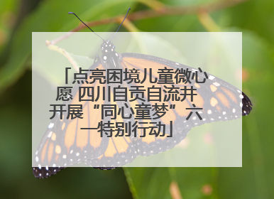 点亮困境儿童微心愿 四川自贡自流井开展“同心童梦”六一特别行动
